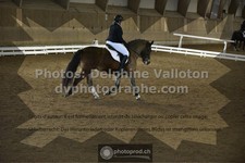 ref. photo 3506131
