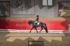 ref. photo 3506140