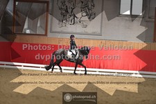 ref. photo 3506153