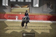ref. photo 3506180