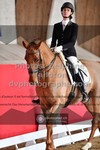 ref. photo 3506182