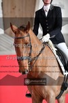 ref. photo 3506183