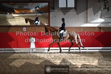 ref. photo 3506185