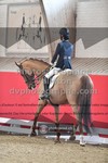 ref. photo 3506200