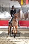 ref. photo 3506205