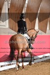 ref. photo 3506206