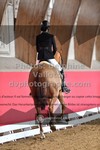 ref. photo 3506210