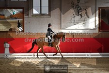 ref. photo 3506212