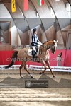 ref. photo 3506221