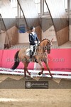 ref. photo 3506222