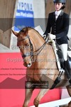 ref. photo 3506223