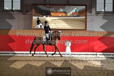 ref. photo 3506227
