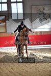 ref. photo 3506231