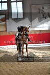 ref. photo 3506233