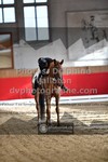ref. photo 3506234