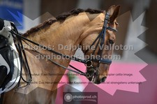 ref. photo 3506251