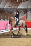 ref. photo 3506254