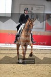 ref. photo 3506261