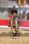 ref. photo 3506267