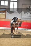 ref. photo 3506275
