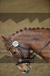 ref. photo 3506278
