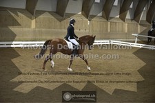 ref. photo 3506297