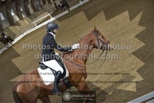 ref. photo 3506305