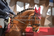 ref. photo 3506322