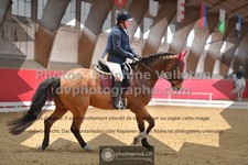 ref. photo 3506326