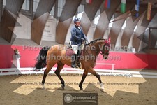 ref. photo 3506334