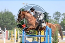 ref. photo 3699289