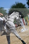 ref. photo 3699652
