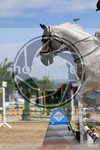 ref. photo 3699667