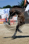 ref. photo 3699924