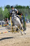 ref. photo 3699961