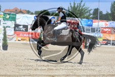 ref. photo 3699971