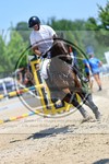 ref. photo 3700028