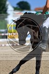 ref. photo 3700111