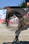 ref. photo 3700261
