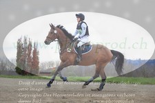 ref. photo 3081410