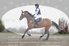 ref. photo 3081411