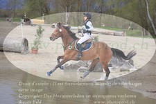 ref. photo 3081414