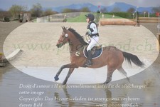 ref. photo 3081416