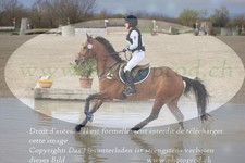 ref. photo 3081417