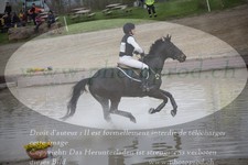 ref. photo 3081456
