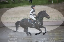 ref. photo 3081462