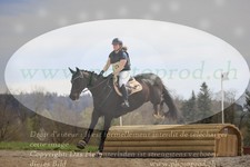 ref. photo 3081466