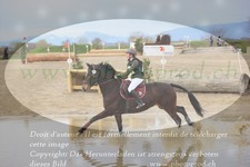 ref. photo 3081481