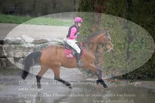 ref. photo 3081499
