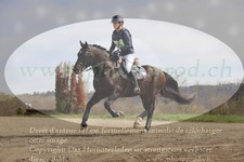 ref. photo 3081532